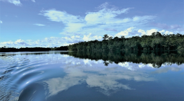 Galería Nacional de Bellas Artes inaugura “La Amazonia y la magia de sus reflejos”