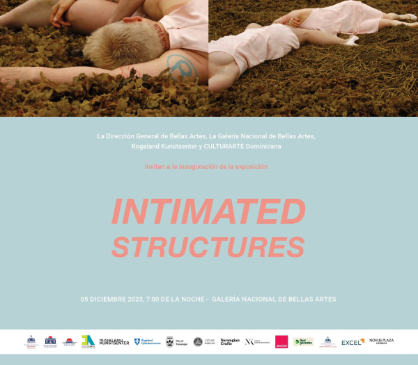 Exposición “Intimated Structures” con artistas noruegos se exhibe en la Galería Nacional de Bellas Artes